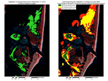 Habitat layers derived from satellite imagery (Landsat 8)