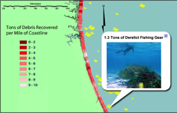 A mockup of an infographic display of marine debris data